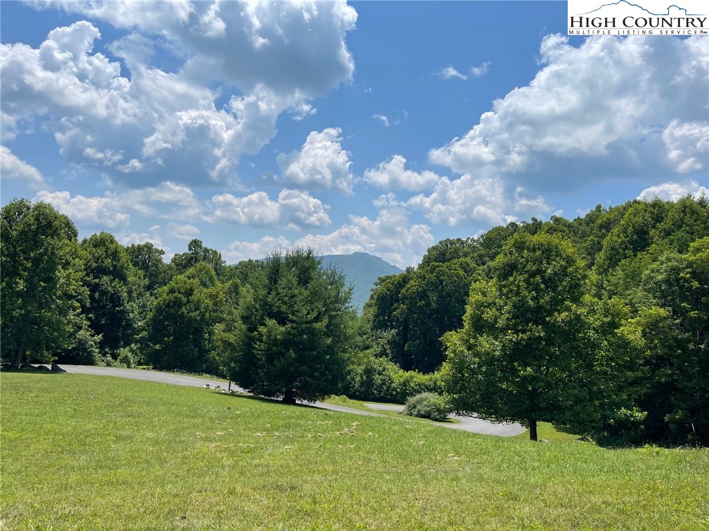 1 Jackson Ridge Road Boone, NC 28607 - Photo 8 of 14