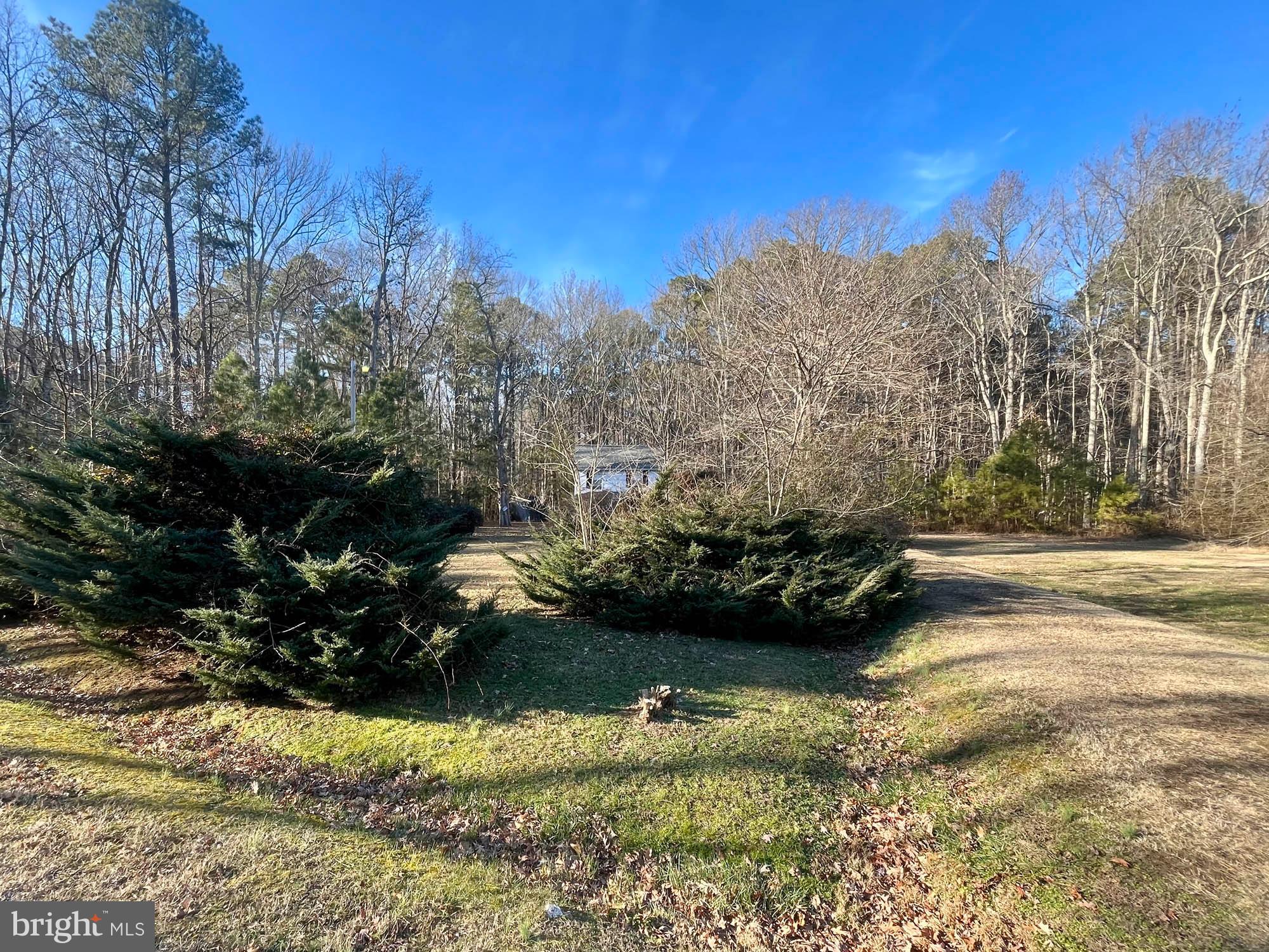 49220 Curleys Road Ridge, MD 20680 - Photo 13 of 24 a view of a yard with large trees