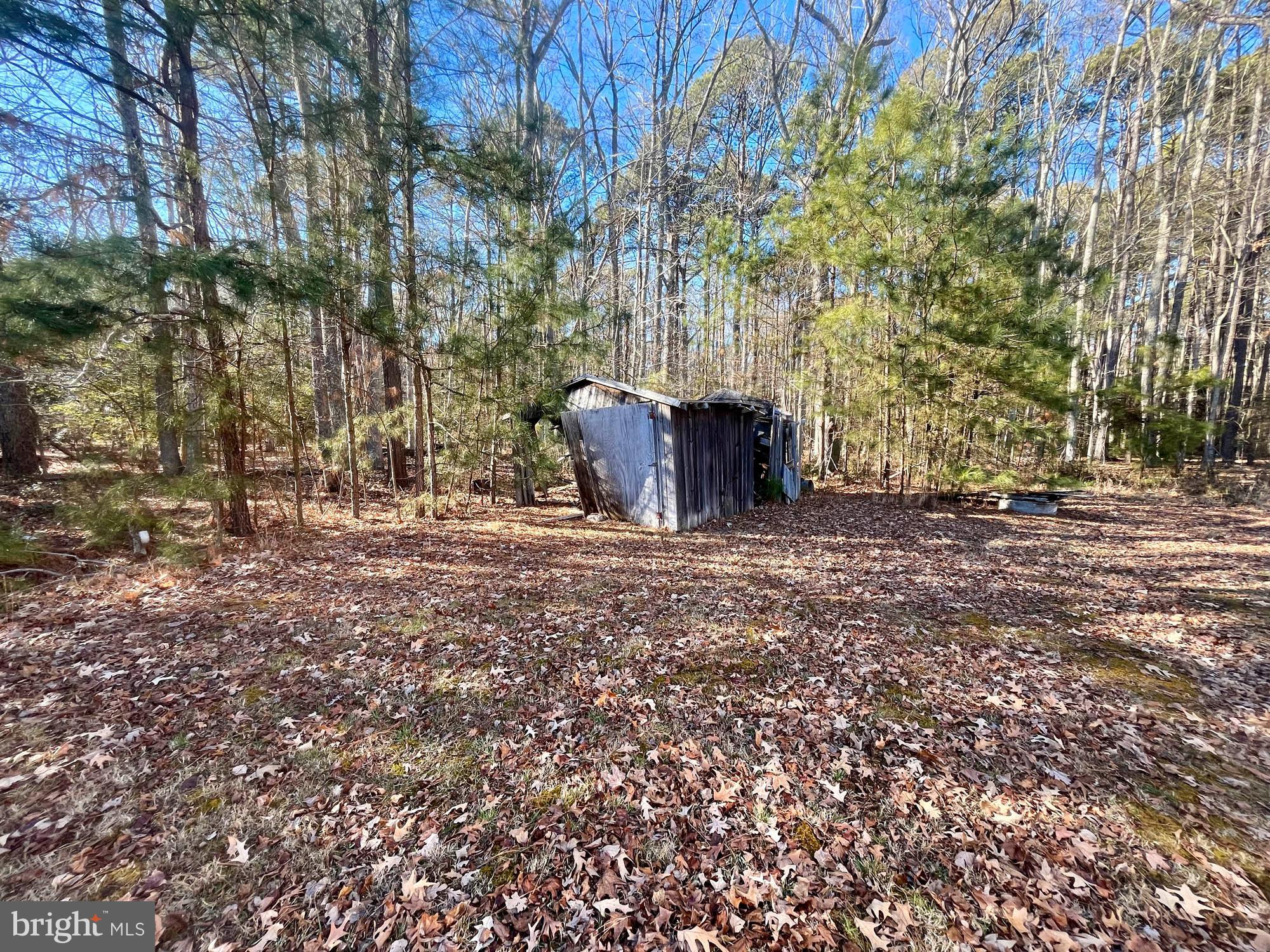 49220 Curleys Road Ridge, MD 20680 - Photo 9 of 24 a view of outdoor space with large trees