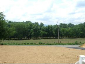 1270 Corby Bridge Road Chuckey, TN 37641 - Photo 2 of 2 Photo 2