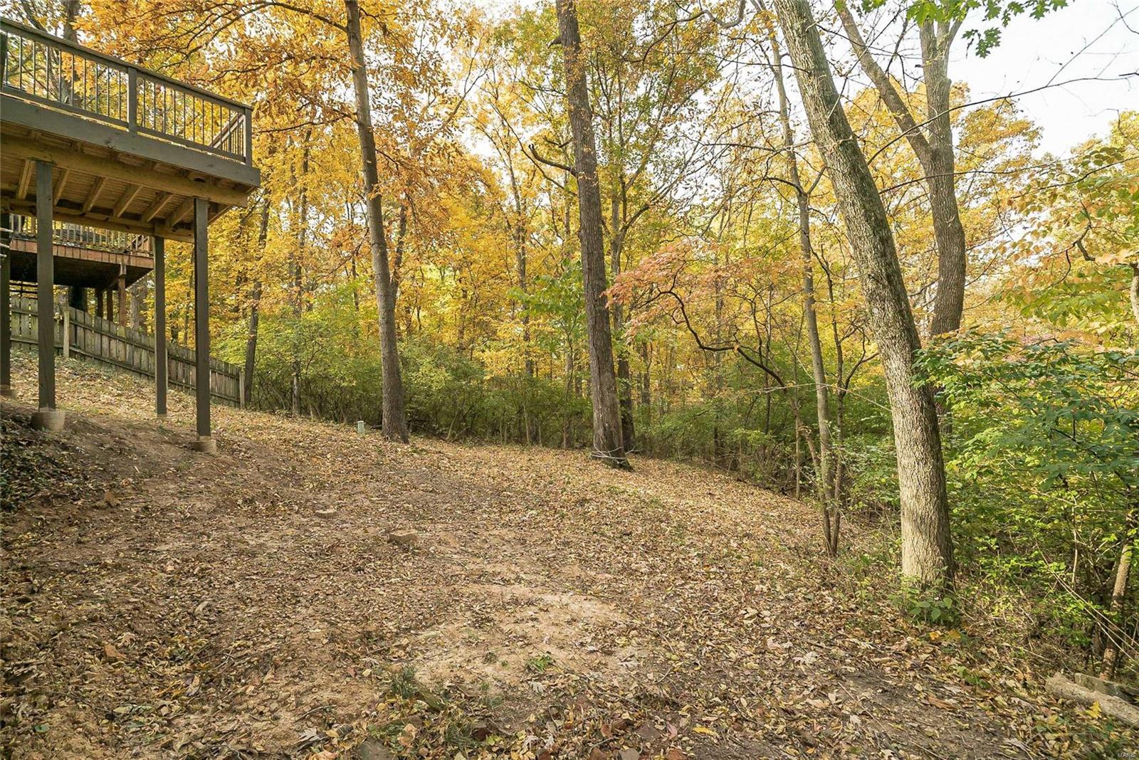 911 Imperial Point Manchester, MO 63021 - Photo 54 of 62