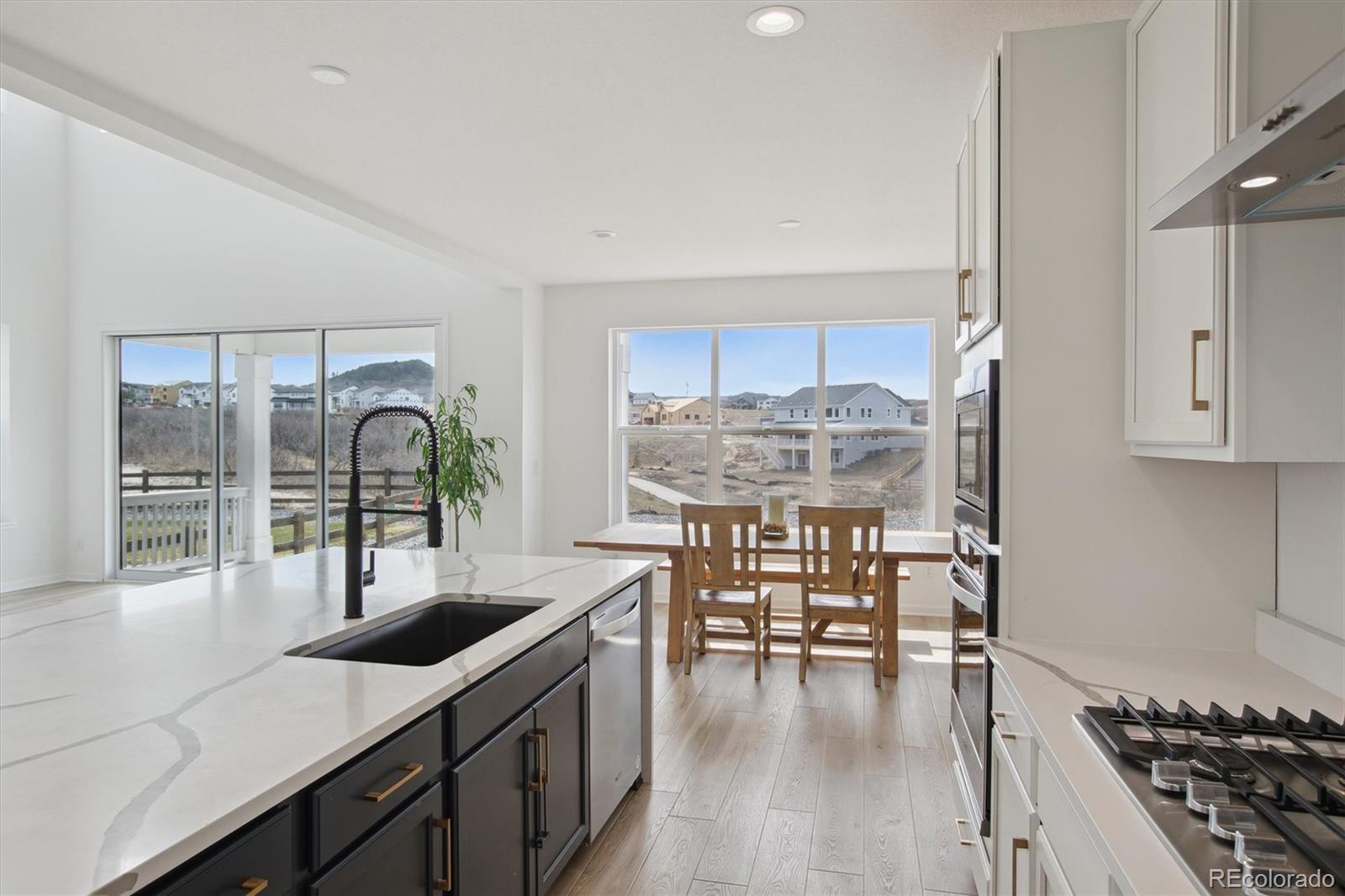 741 Simmental Loop Castle Rock, CO 80104 - Photo 13 of 50 a kitchen with counter top space and cabinets