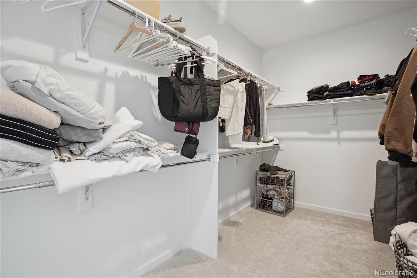 741 Simmental Loop Castle Rock, CO 80104 - Photo 30 of 50 a view of storage and utility room with racks on the wall