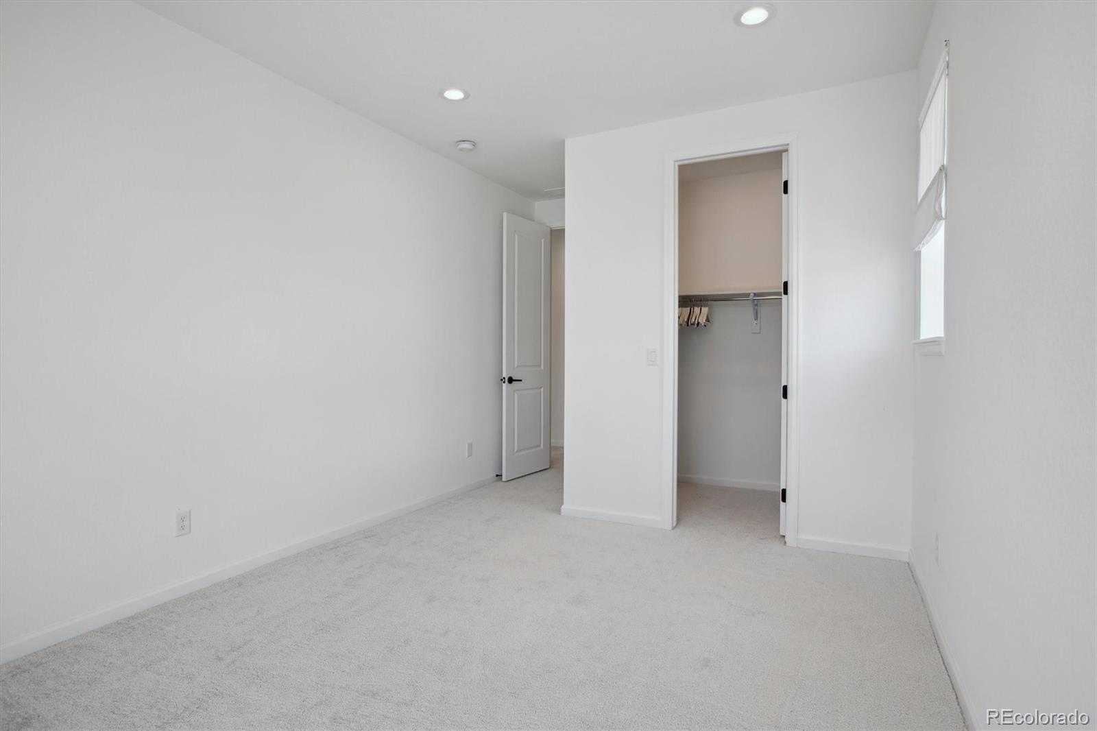 741 Simmental Loop Castle Rock, CO 80104 - Photo 34 of 50