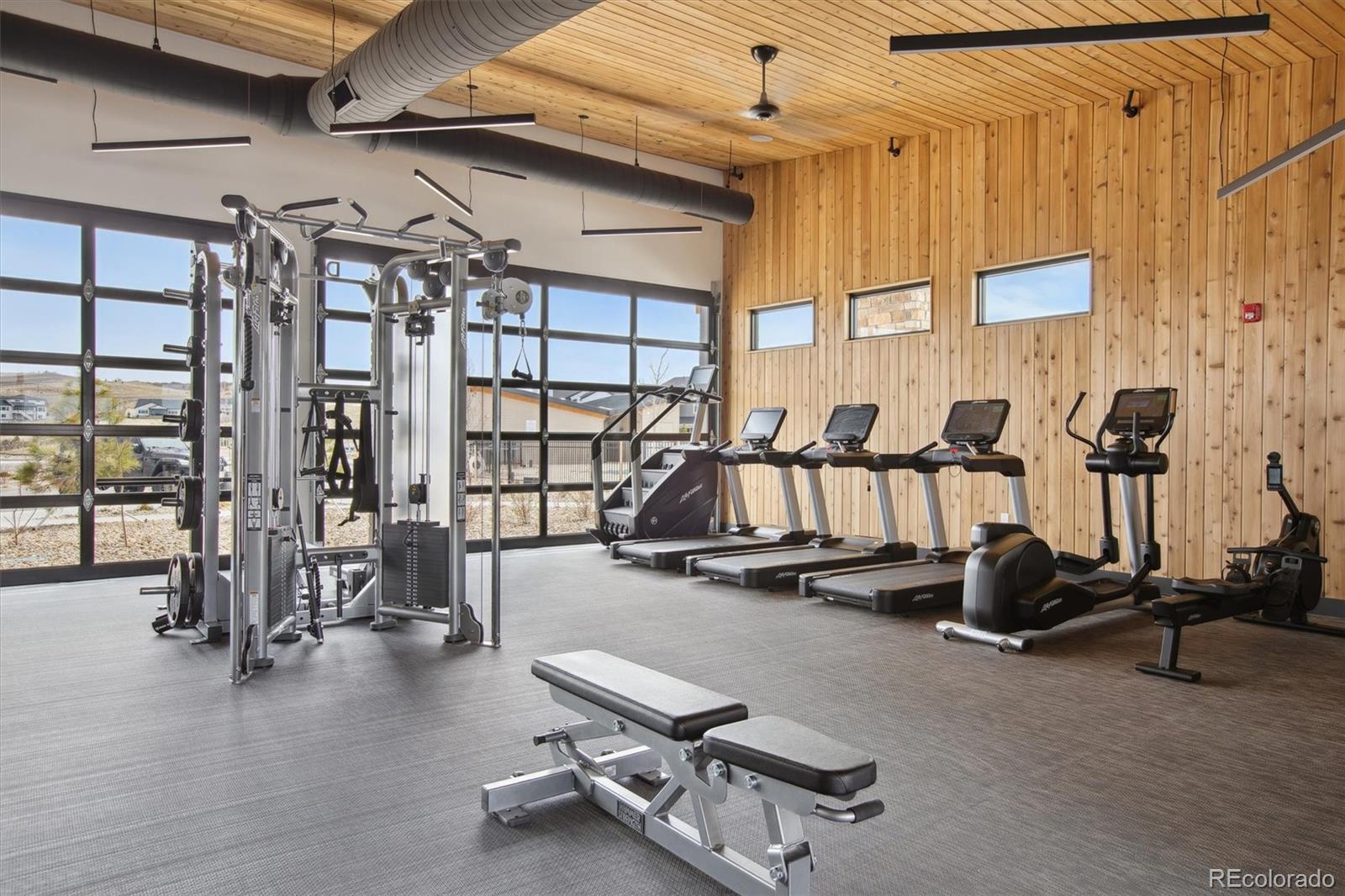 741 Simmental Loop Castle Rock, CO 80104 - Photo 47 of 50 a view of a room with gym equipment