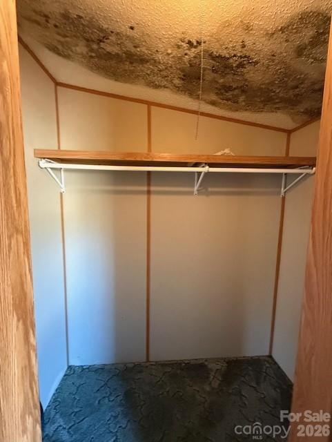 373 Griggs Road Clover, SC 29710 - Photo 22 of 41 a view of closet