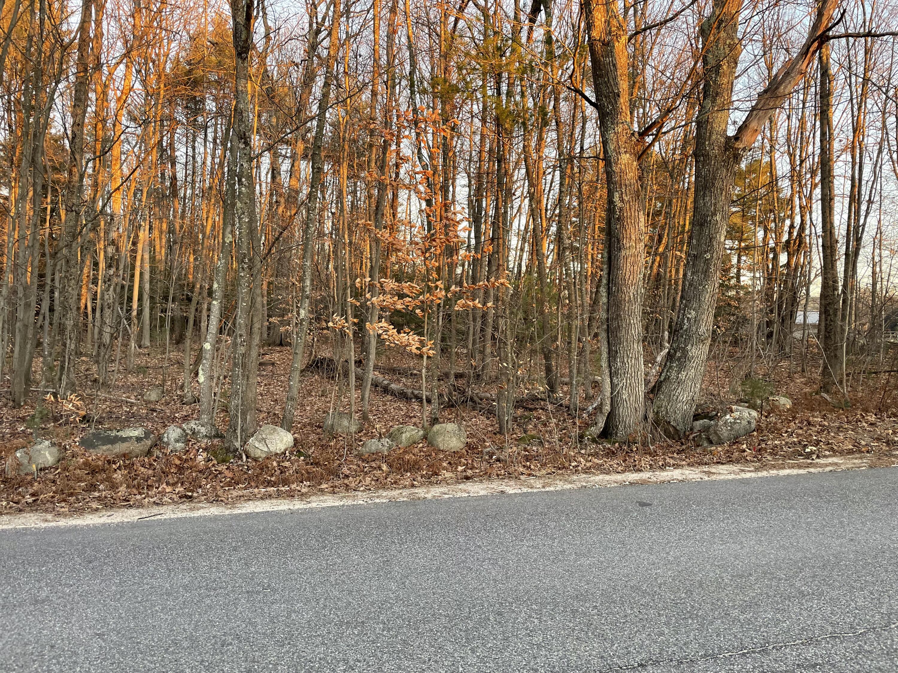 9-l 36 Berry Road Denmark, ME 04022 - Photo 1 of 7 EFCC3ECD-509C-495D-B41C-CD46050ED4DE