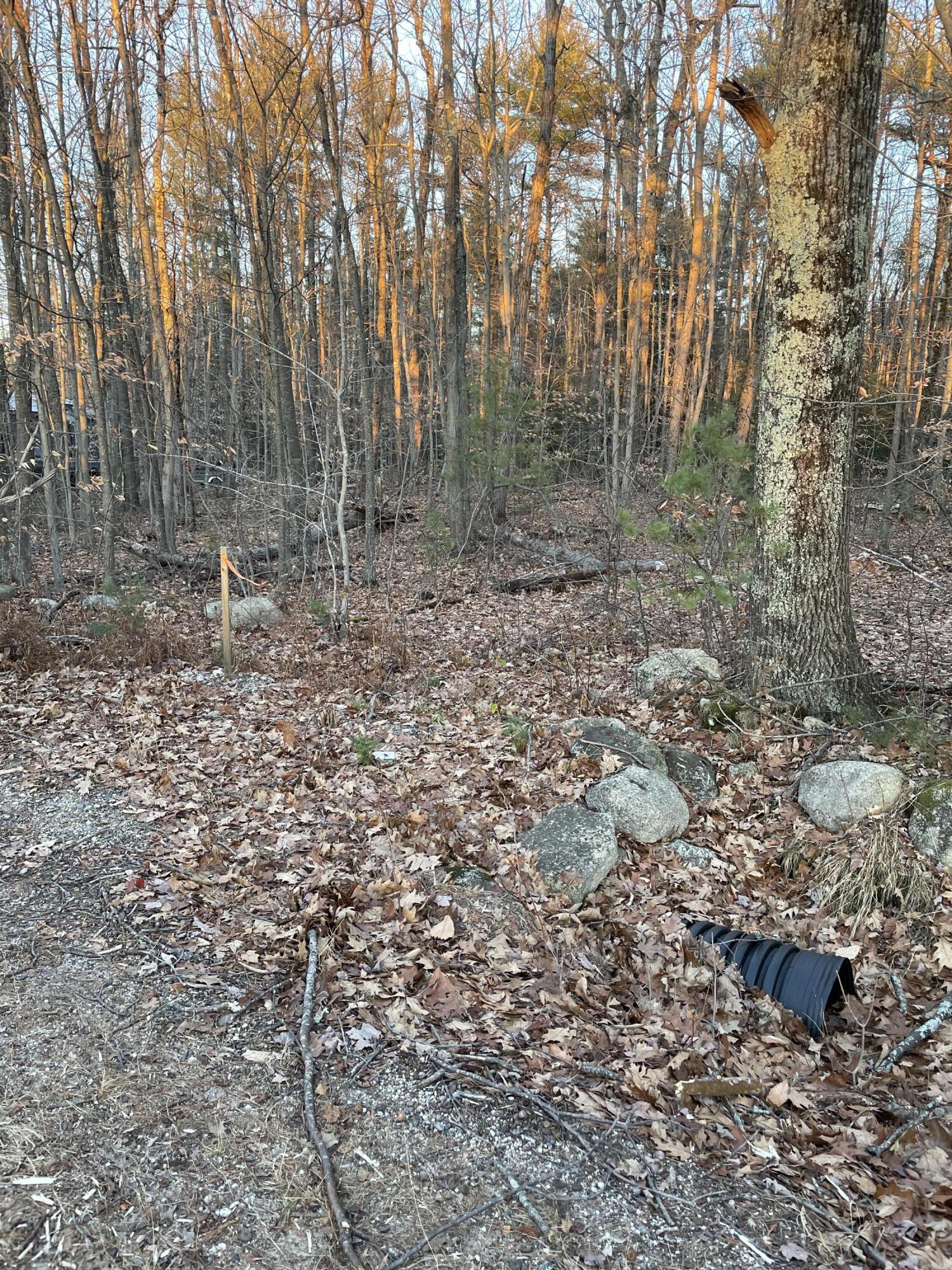 9-l 36 Berry Road Denmark, ME 04022 - Photo 2 of 7 2AF68151-C84A-4F7A-93D0-D8706ED26B92