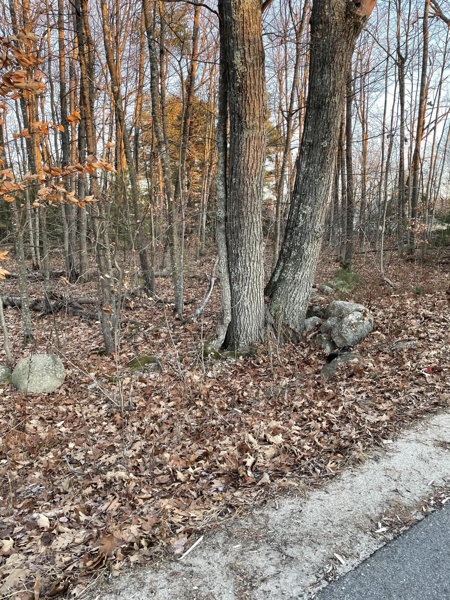 9-l 36 Berry Road Denmark, ME 04022 - Photo 4 of 7 81F99A3A-14C9-40D4-B9E6-59E3A2A922AF