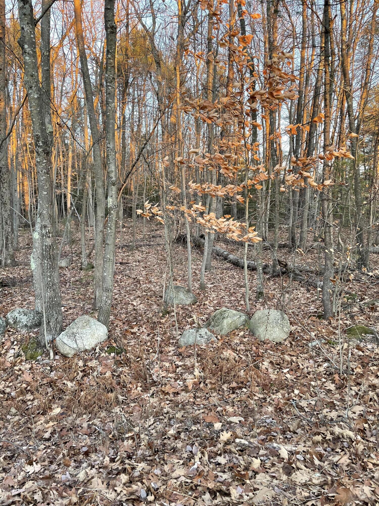 9-l 36 Berry Road Denmark, ME 04022 - Photo 5 of 7 CD18CFCF-626F-44F0-BAB9-A0212E825F62