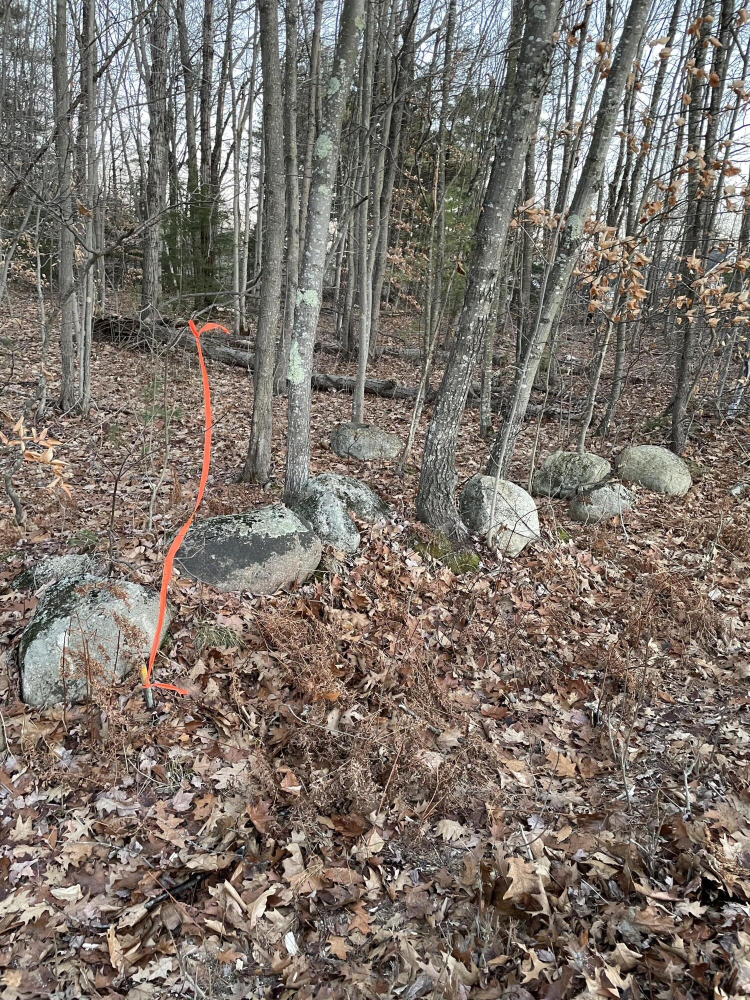 9-l 36 Berry Road Denmark, ME 04022 - Photo 7 of 7 67939C06-C3C1-4719-A3F1-0F82E1C5FCB1