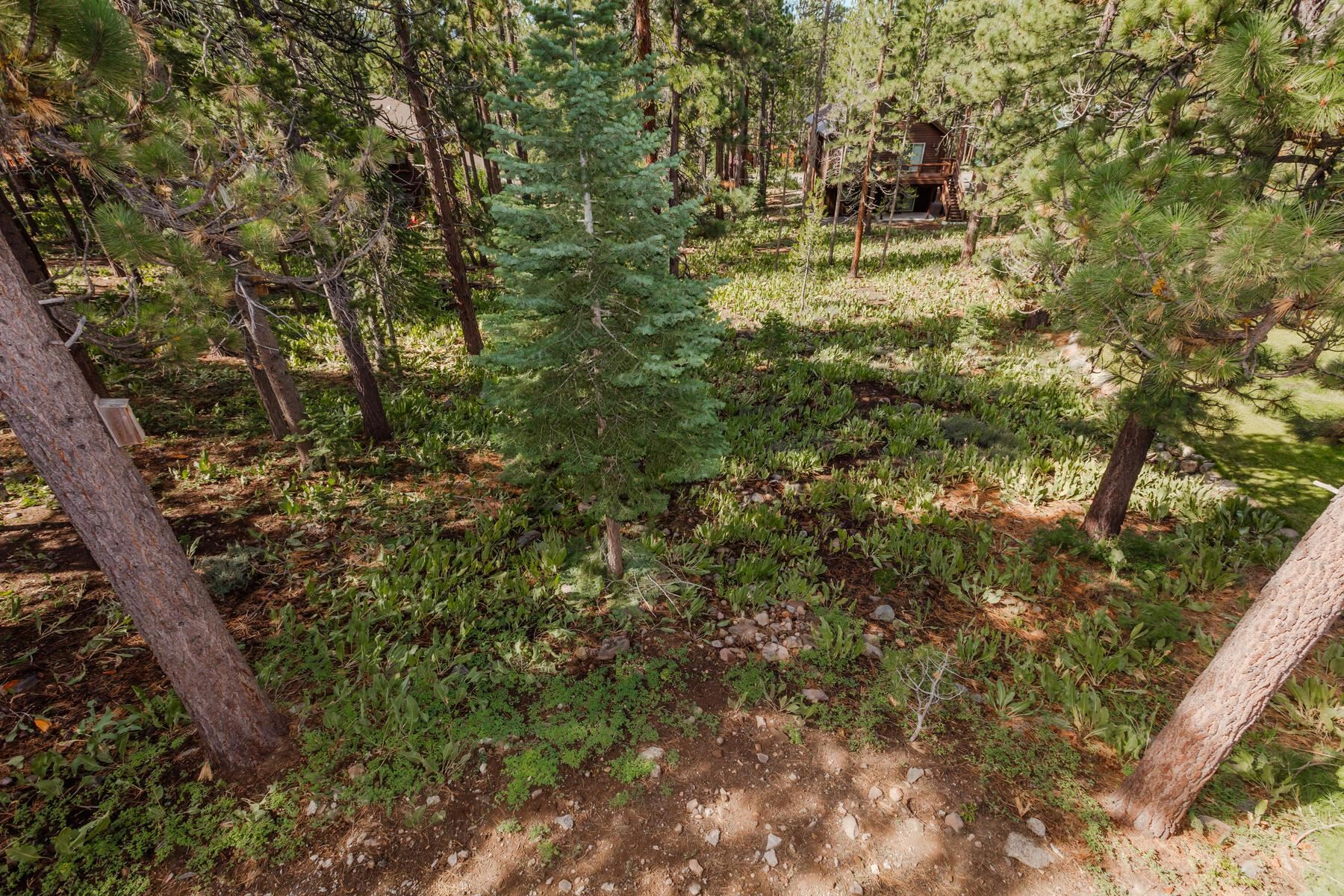13213 Roundhill Drive Truckee, CA 96161 - Photo 3 of 21 a backyard of a house with lots of green space and lake view