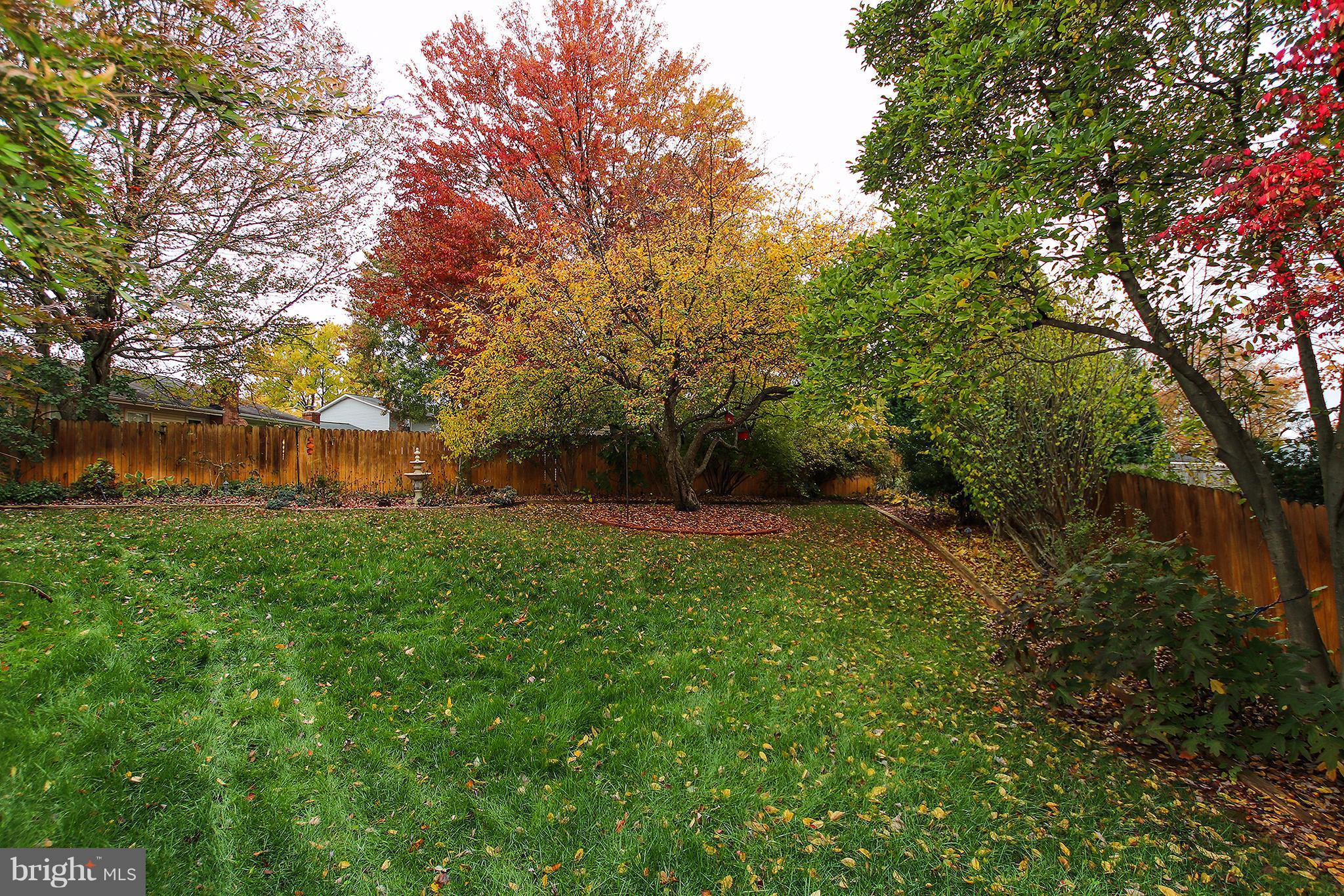 Exterior (Rear)