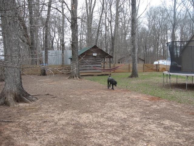 1538 Cunningham Road West Seymour, TN 37865 - Photo 36 of 38