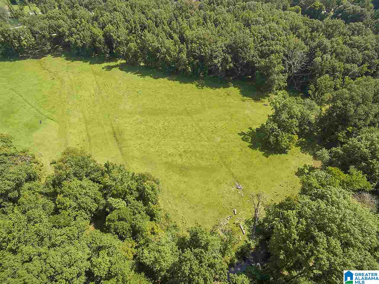 3330 Highway 174 Springville, AL 35146 - Photo 6 of 21
