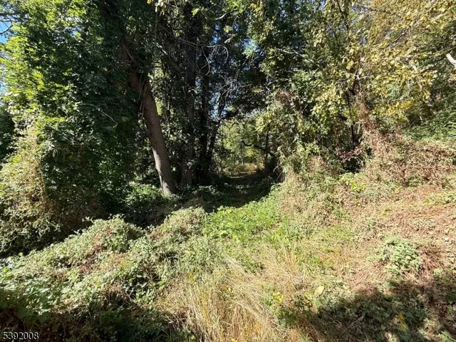a view of a house with a tree