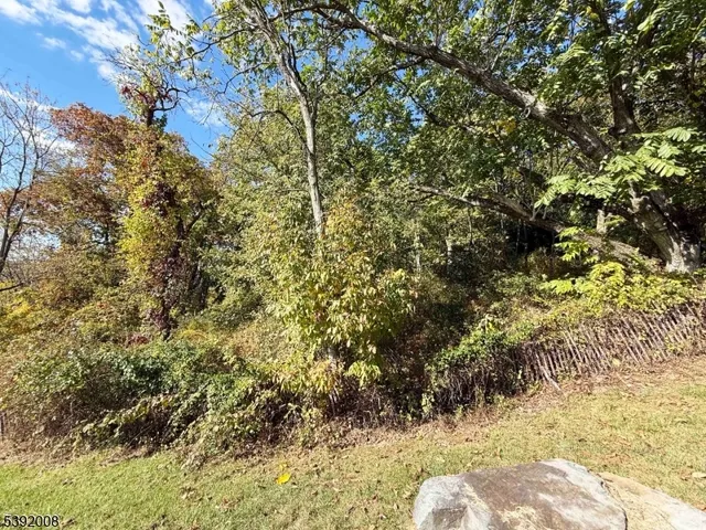 a view of mountain view with a tree