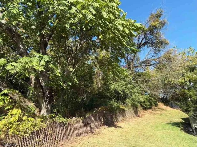 a view of a yard with plants and tree