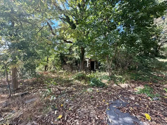 a big yard with lots of green space and trees