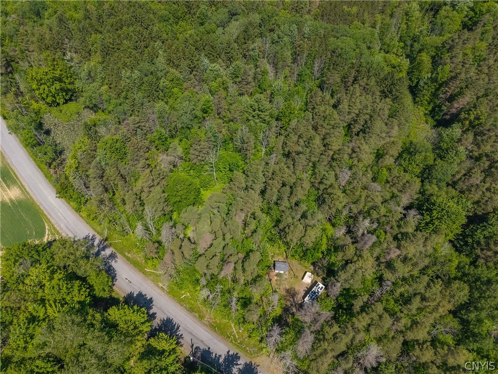 8804 Becker Road Springwater, NY 14572 - Photo 27 of 34