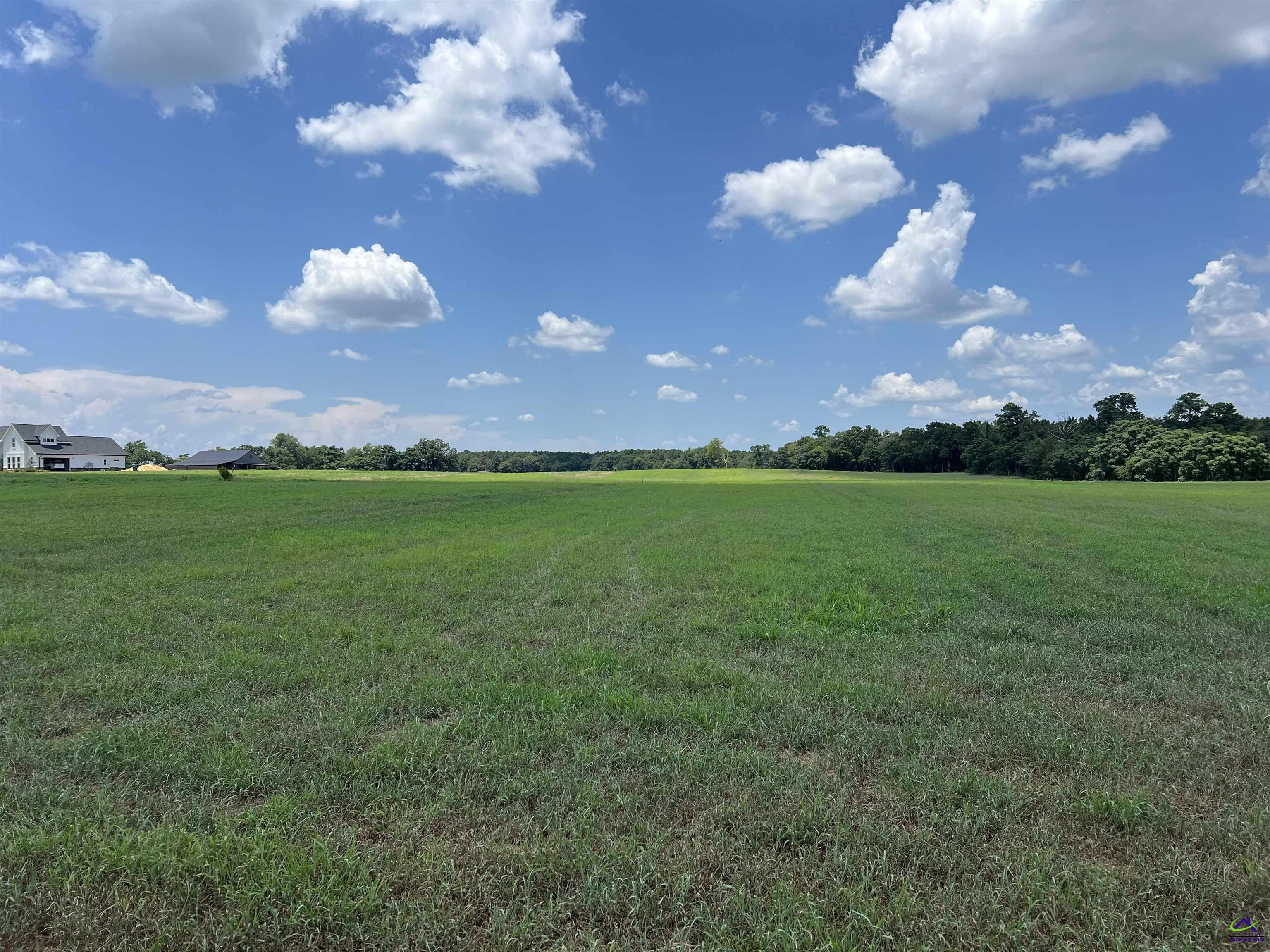 Gilbert Road Elko, GA 31025 - Photo 2 of 7