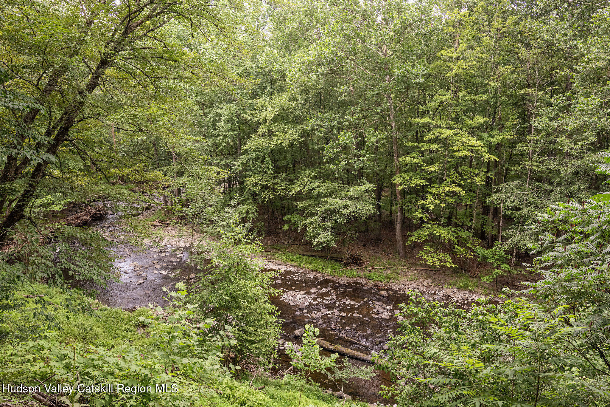 Tbd Mettacahonts Road Accord, NY 12404 - Photo 19 of 38 a view of a forest with a tree