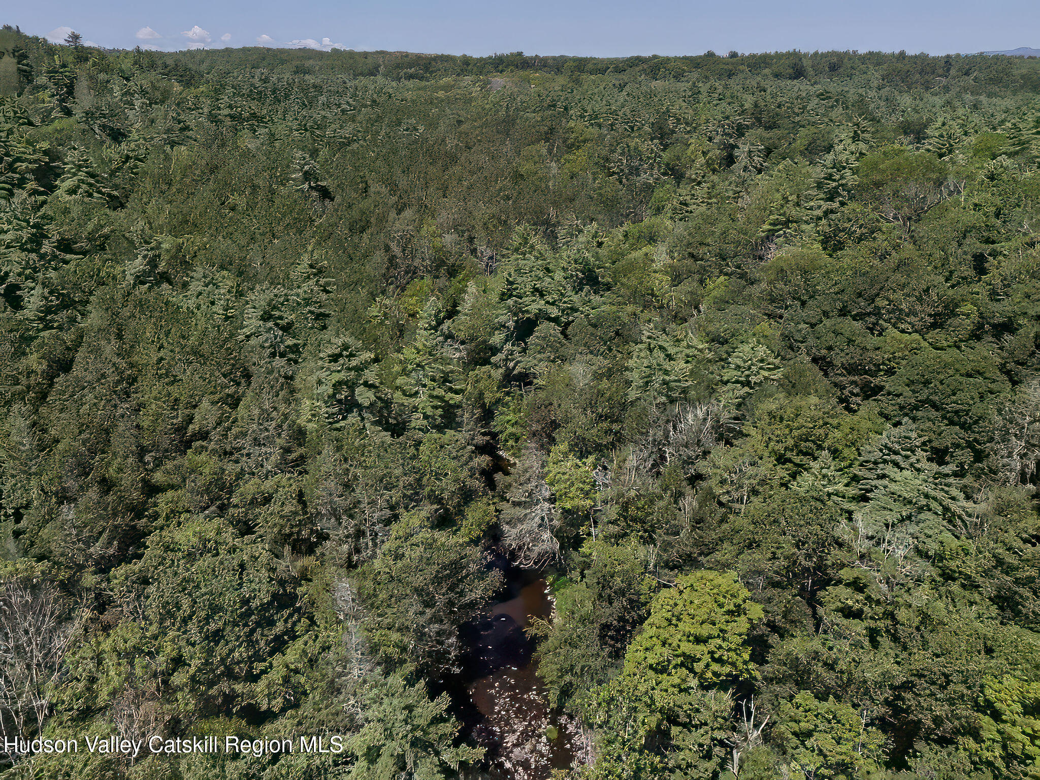 Tbd Mettacahonts Road Accord, NY 12404 - Photo 27 of 38 a view of a forest with lots of trees
