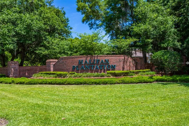 a view of a yard with plants and trees