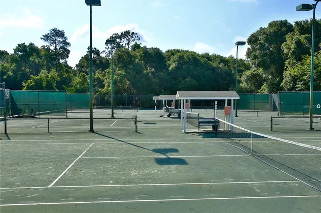a view of a tennis ground with large trees