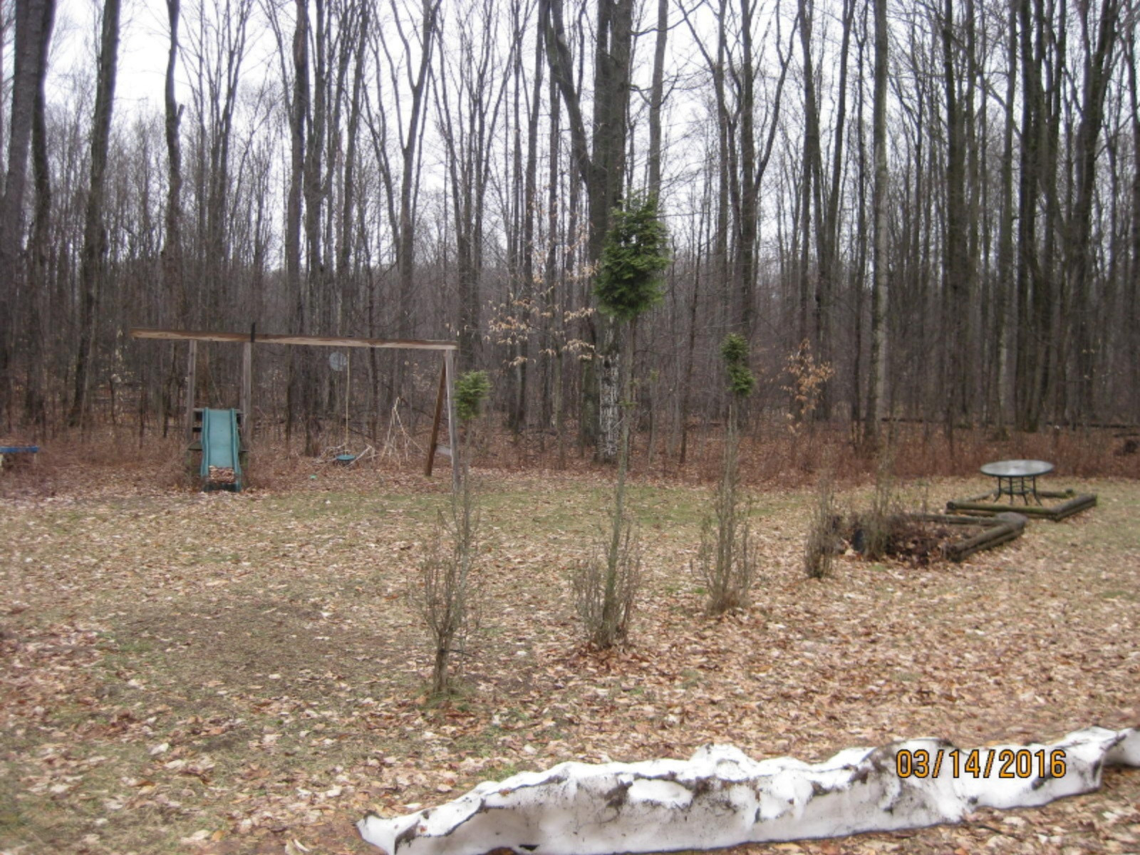 6242 North Coe Road Luther, MI 49656 - Photo 6 of 22 IMG_1706