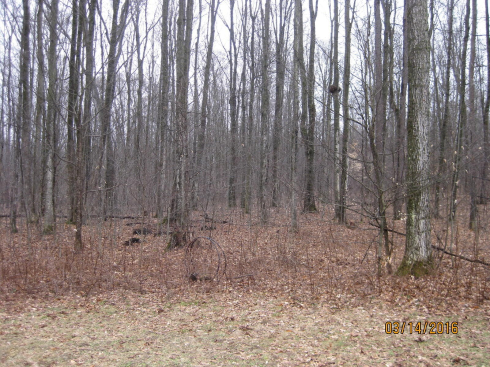 6242 North Coe Road Luther, MI 49656 - Photo 7 of 22 IMG_1708