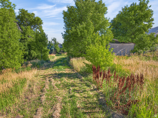 4380 Main Street Logan, UT 84321 - Photo 59 of 74 Expansive grassy path connecting different parts of property