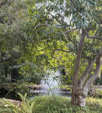 a view of tree