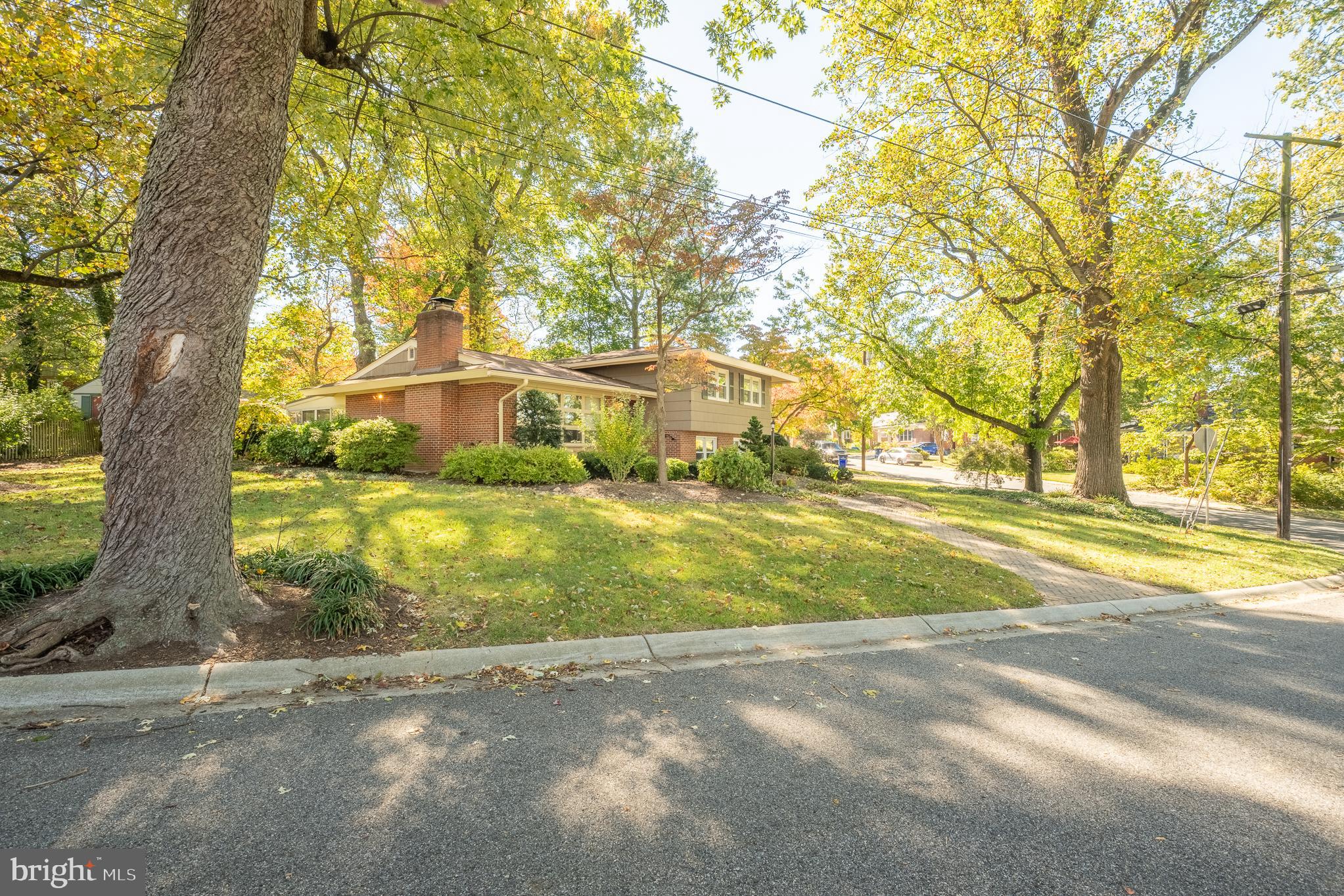 1006 Strout Street Silver Spring, MD 20901 - Photo 3 of 54 a view of yard along with trees