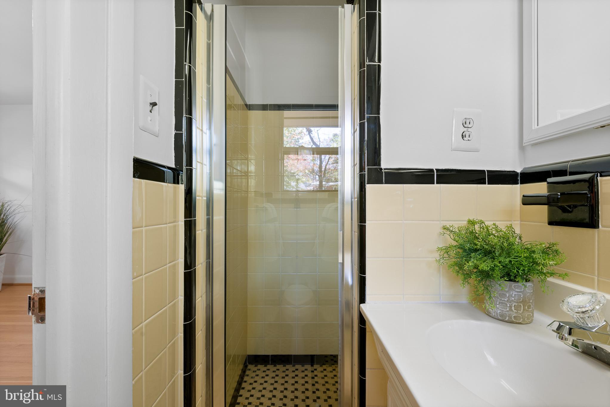 1006 Strout Street Silver Spring, MD 20901 - Photo 32 of 54 a bathroom with a tub shower and mirror