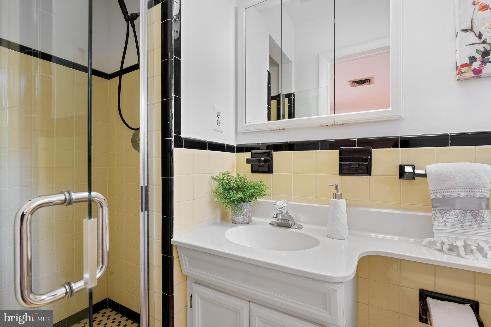 1006 Strout Street Silver Spring, MD 20901 - Photo 33 of 54 a bathroom with a sink and a mirror