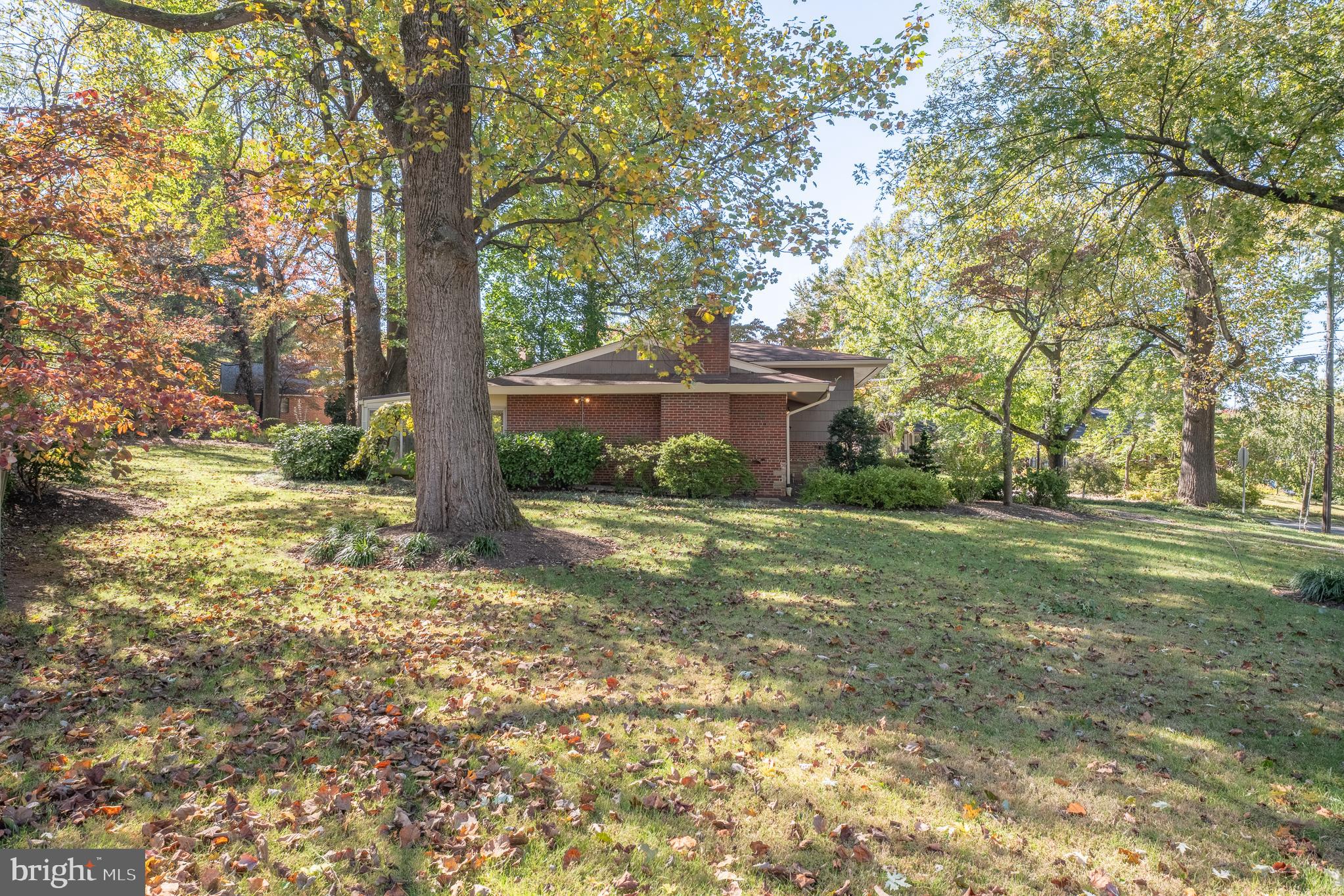 1006 Strout Street Silver Spring, MD 20901 - Photo 4 of 54 a view of a house with yard and a tree