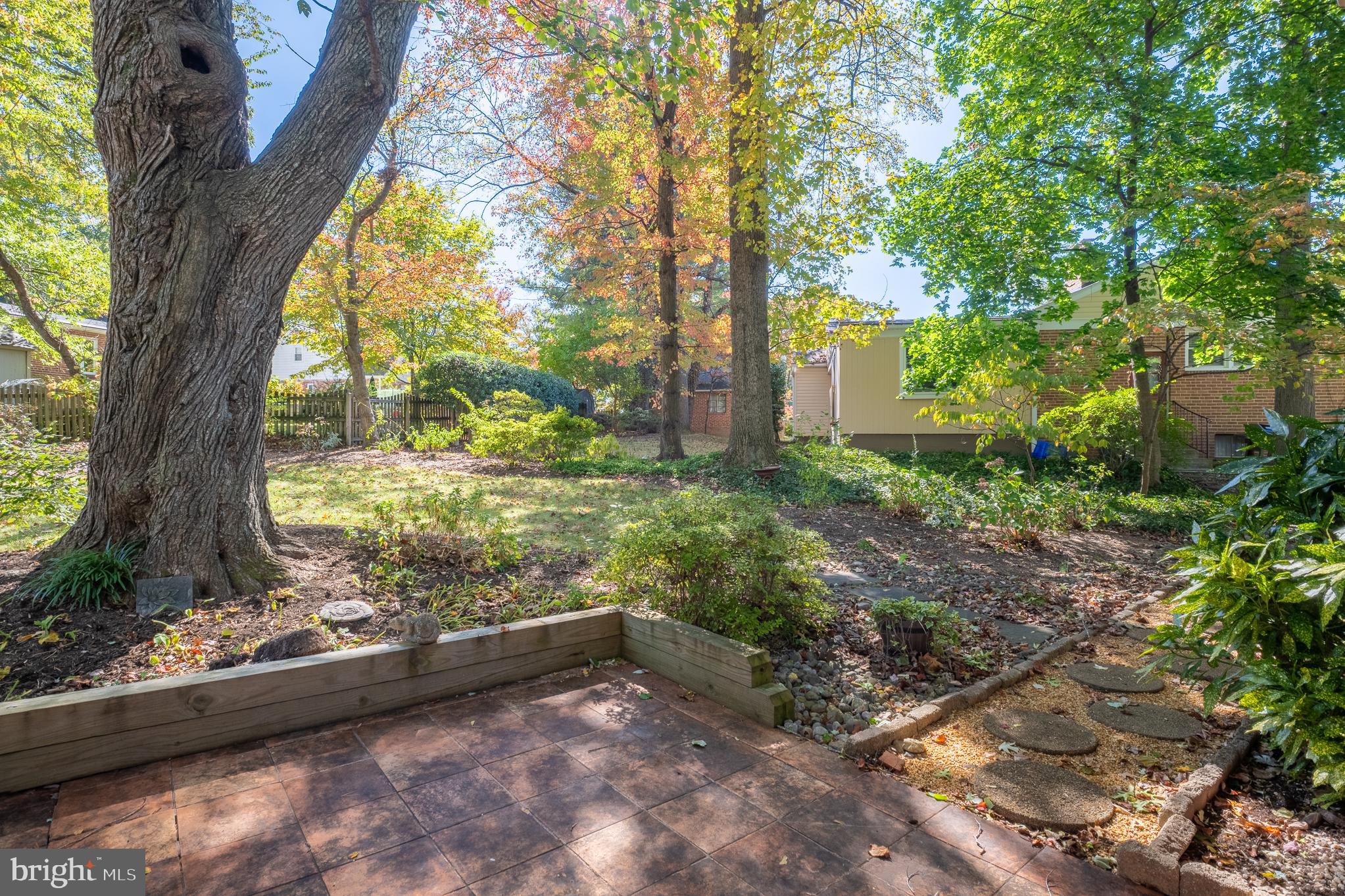 1006 Strout Street Silver Spring, MD 20901 - Photo 49 of 54 a view of a garden with plants and large trees