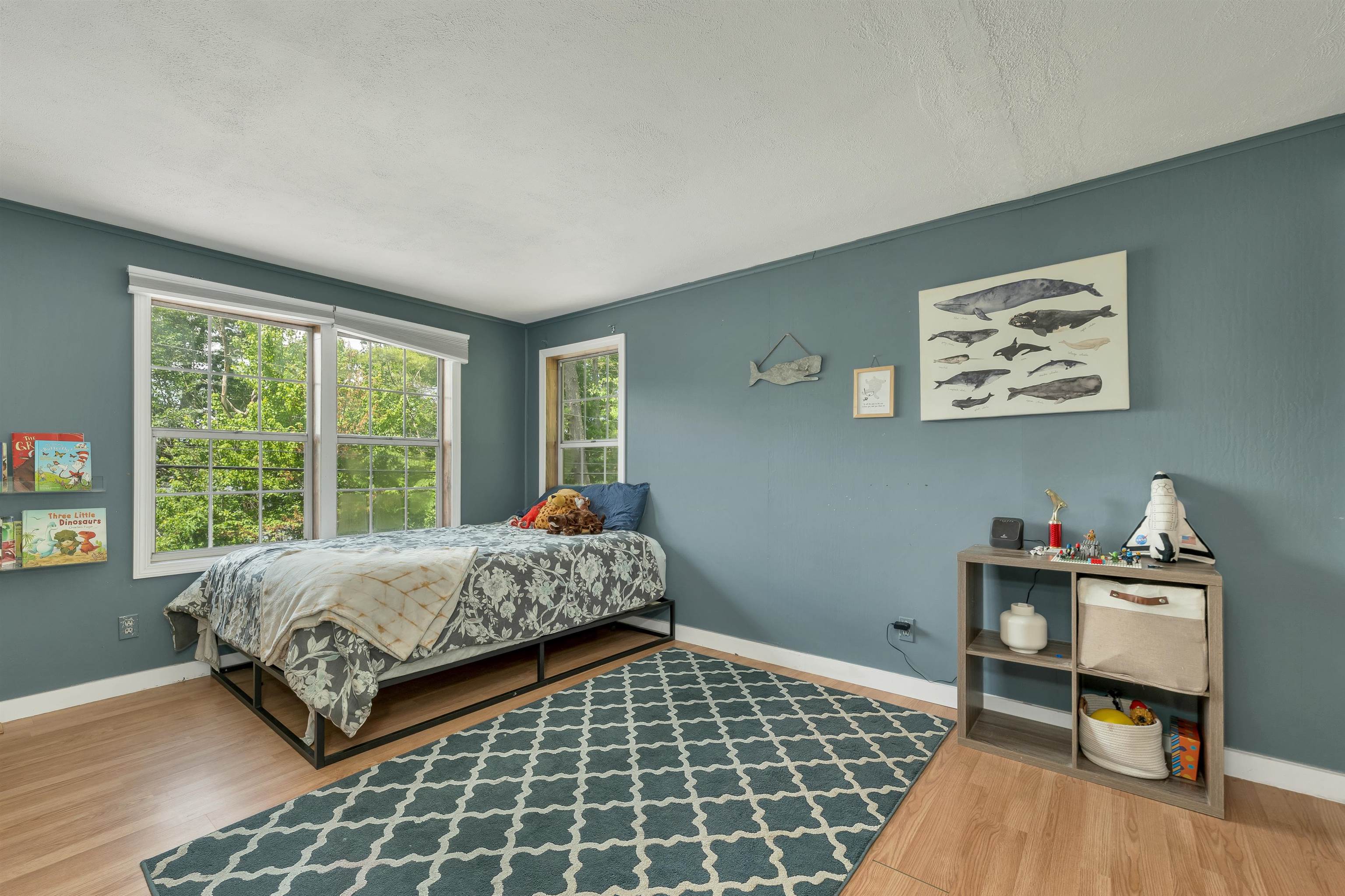 165 South Shore Road New Durham, NH 03855 - Photo 25 of 41