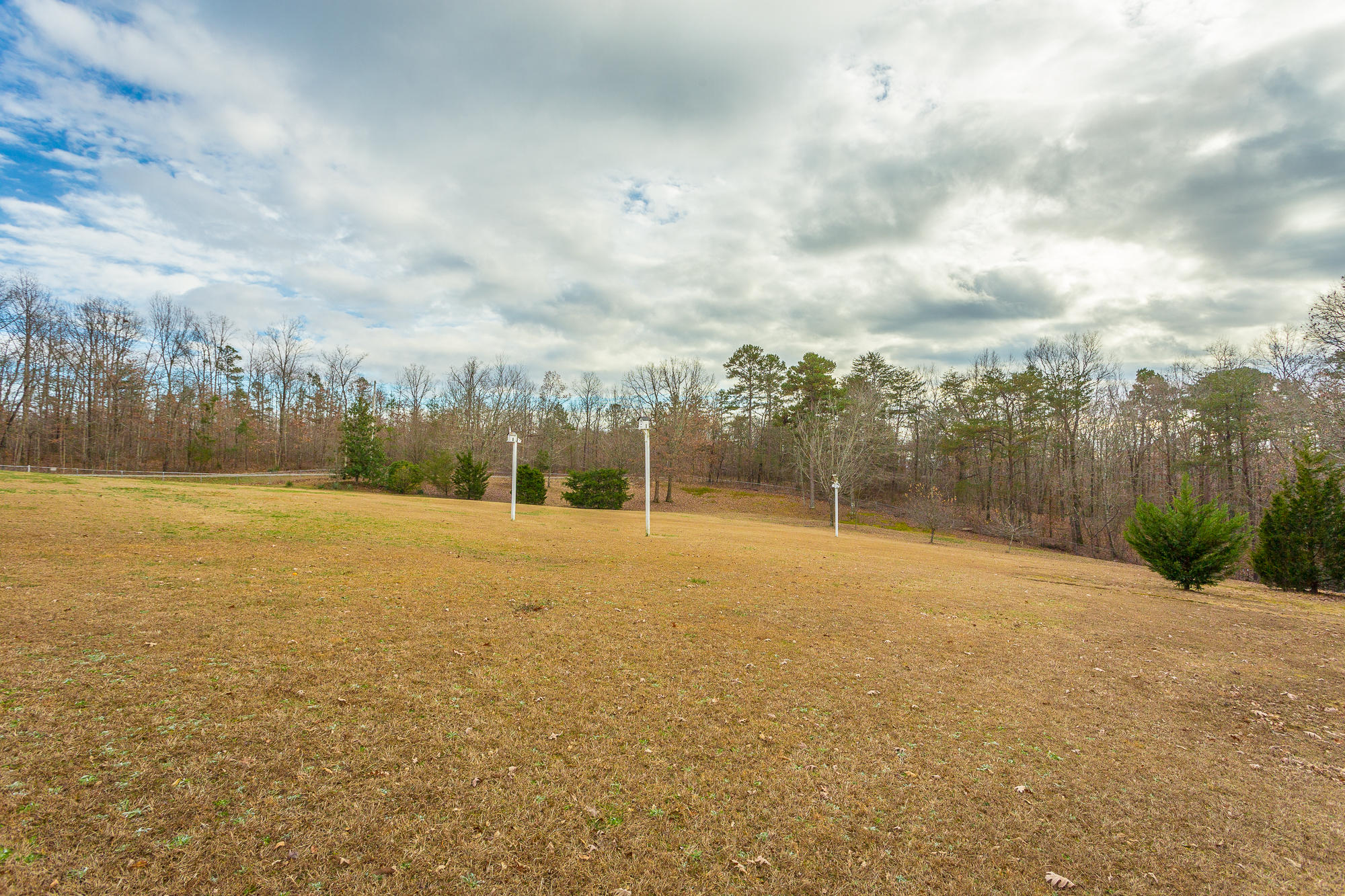 948 Vineyard Point Road Sequatchie, TN 37374 - Photo 9 of 34 948 Vineyard Point Rd. HD-17