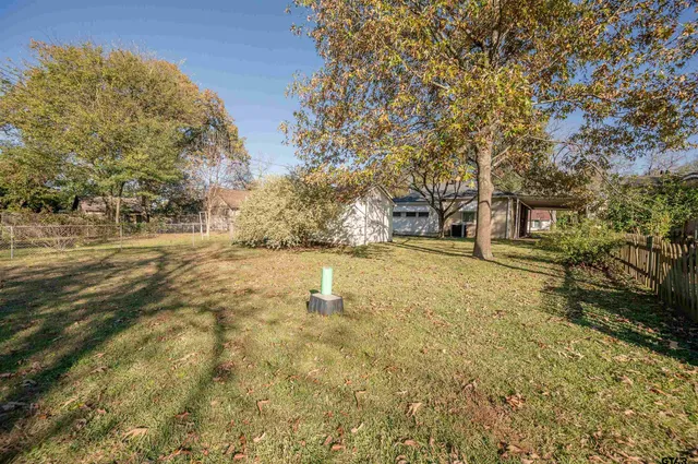a view of yard with tree
