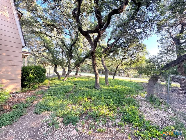 a view of backyard with large trees