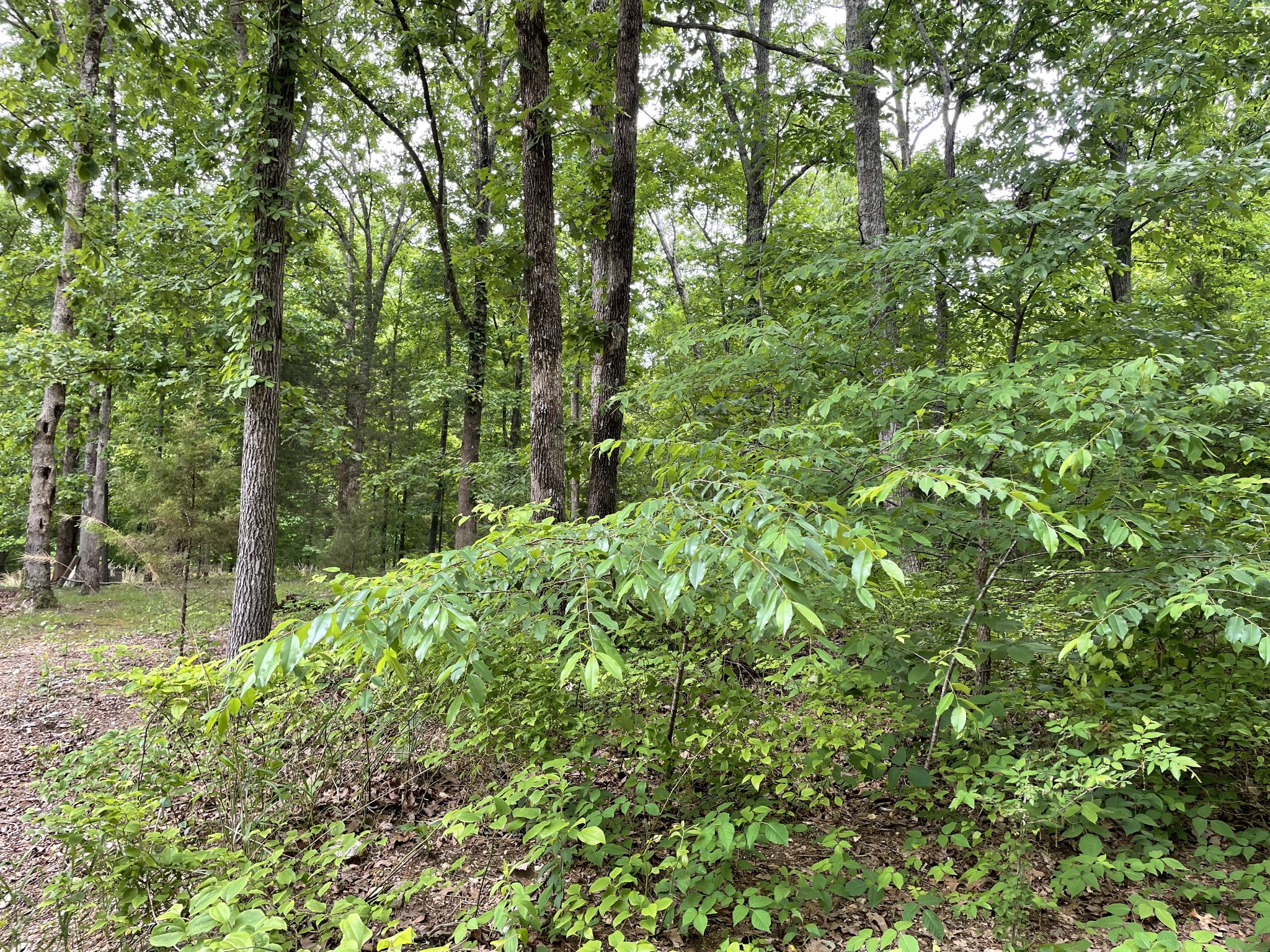 5080 Spears Road Centerville, TN 37033 - Photo 1 of 12 Gallery Image 1