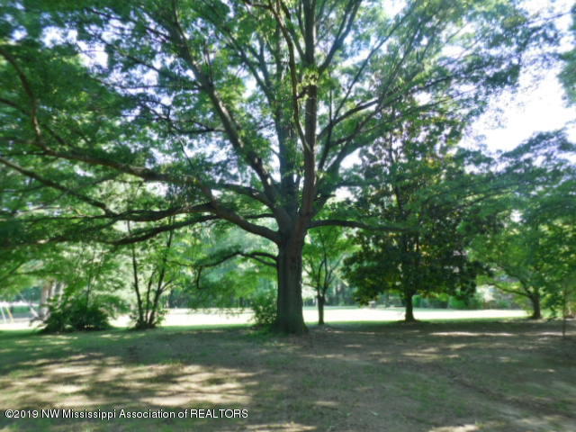 4820 Fogg Road North Nesbit, MS 38651 - Photo 15 of 17 4820Trees