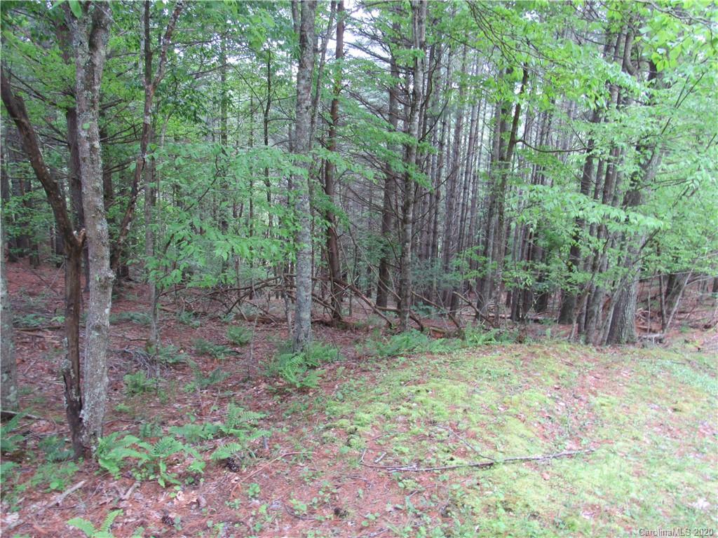 Tbd South Turkey Ridge South, Unit 47 Crumpler, NC 28617 - Photo 5 of 12