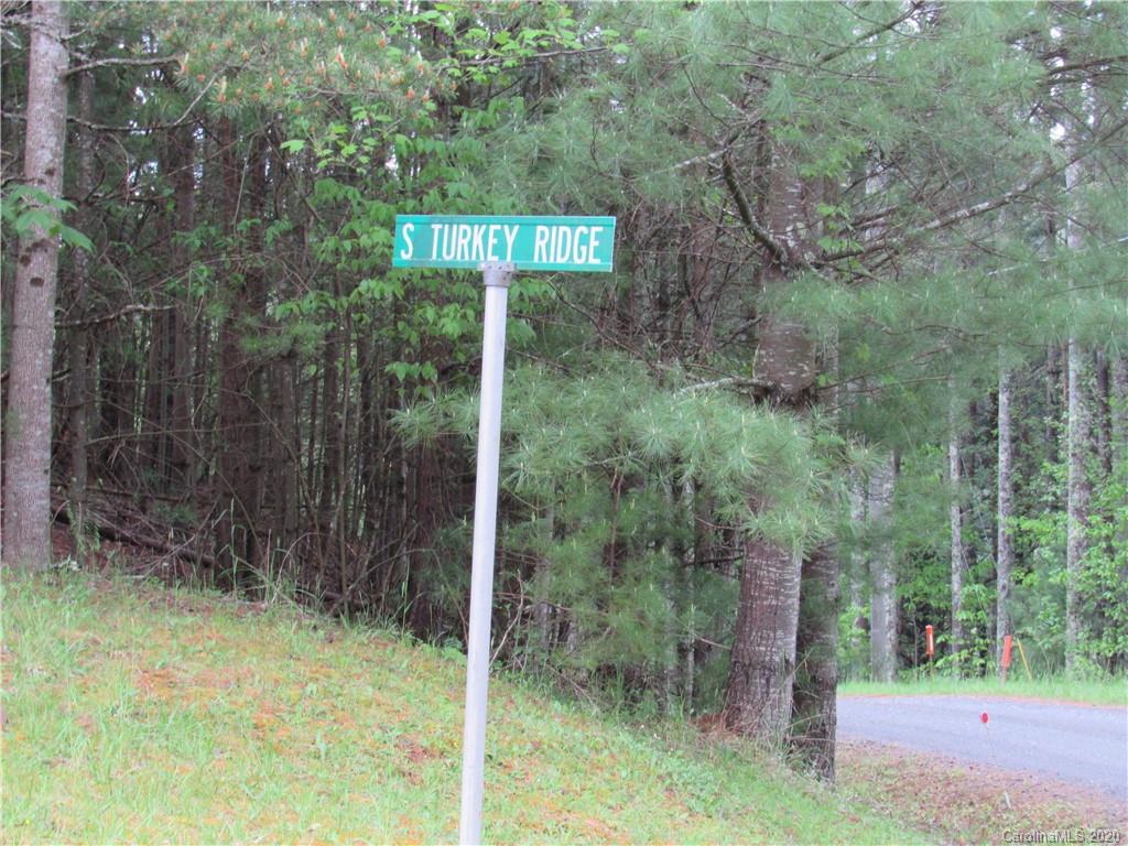 Tbd South Turkey Ridge South, Unit 47 Crumpler, NC 28617 - Photo 8 of 12