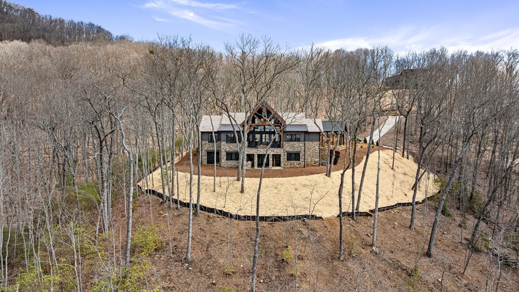 899 Dana Road Mineral Bluff, GA 30559 - Photo 72 of 91 Gallery Image 72