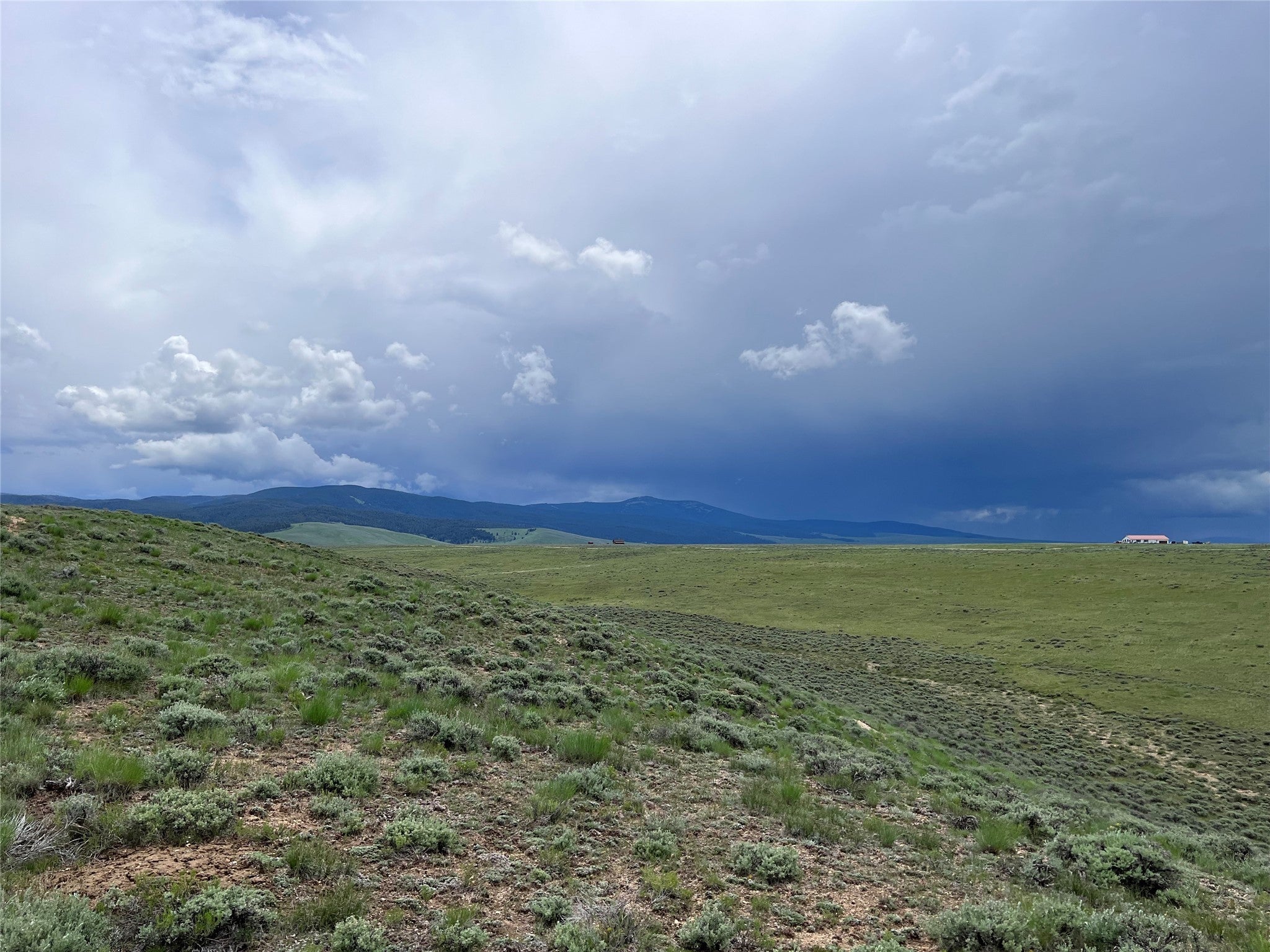 11 Steel Creek Road Wisdom, MT 59761 - Photo 3 of 11 Gallery Image 3