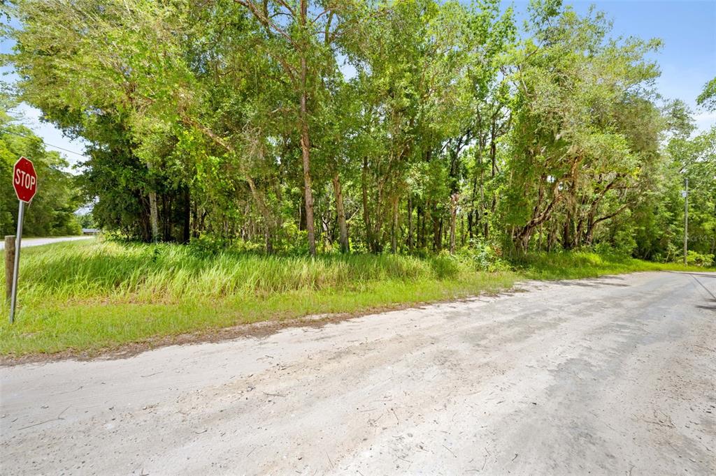 0 Ricebird Avenue, Unit LOT 89 Weeki Wachee, FL 34614 - Photo 26 of 27