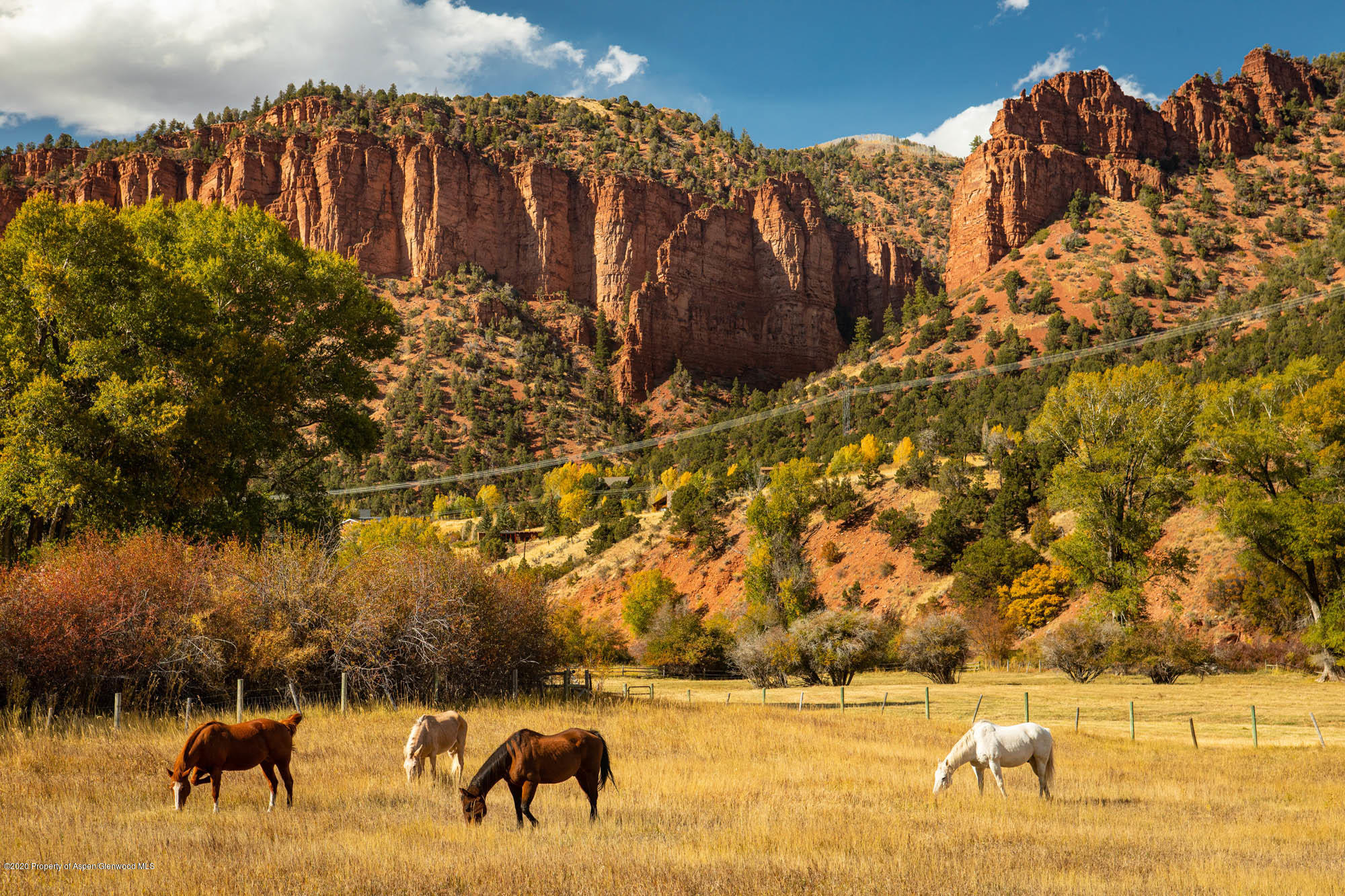5700 Frying Pan Road Basalt, CO 81621 - Photo 27 of 45 Irrigated Meadows | Fall
